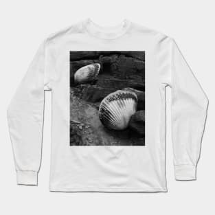 Shells Sculpture. Vladivostok Oceanarium Long Sleeve T-Shirt